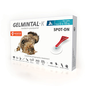 GELMINTAL K SPOT-ON for cats 4-10 kg